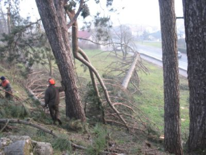 Brežina Kolodvorska